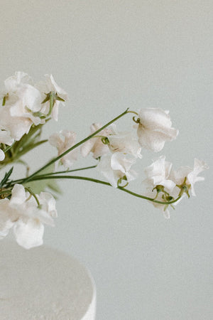 
                  
                    The Minimalist
                  
                